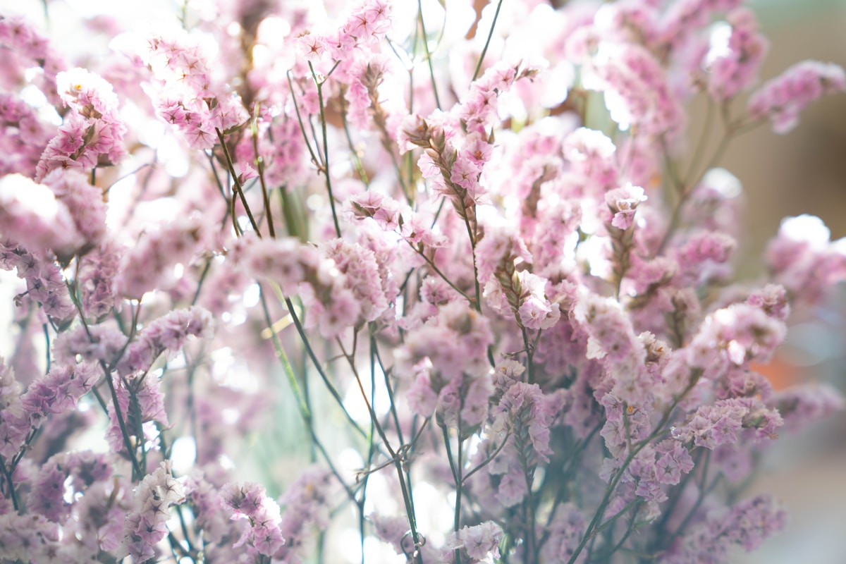 Formación Bonificada 1 material demo photo 1531306760863 7fb02a41db12