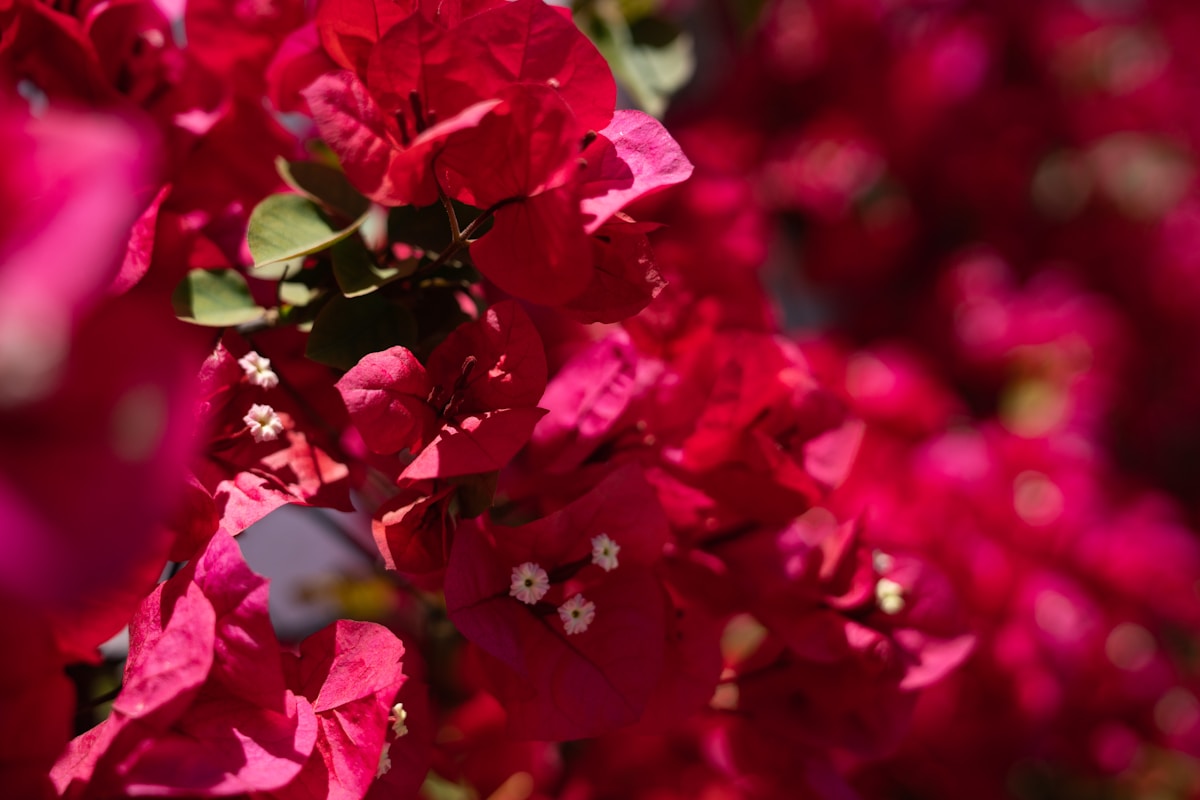 Formación Bonificada 14 material demo photo 1558905585 24d5d344c91d