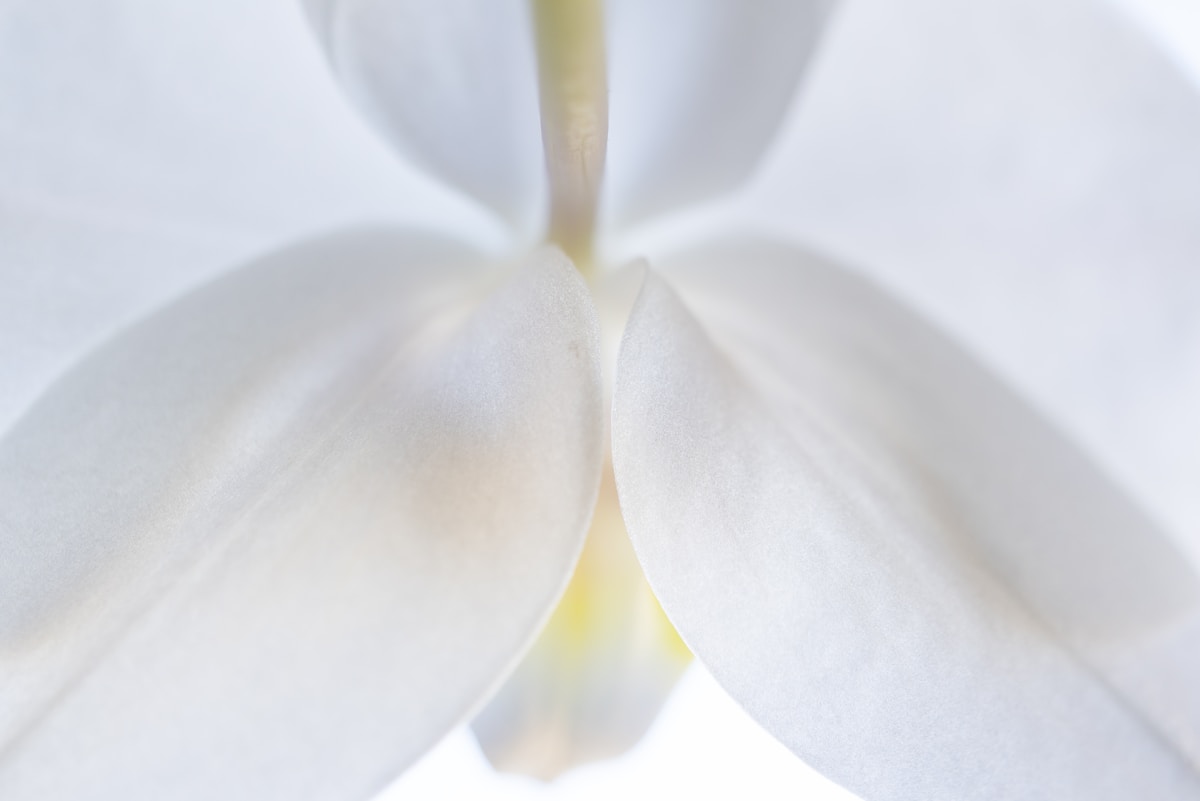 Formación Bonificada 13 material demo photo 1582817954171 c3533fffde89