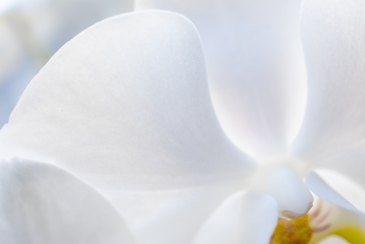 Formación Bonificada 12 material demo photo 1582817954180 3c17b7036409